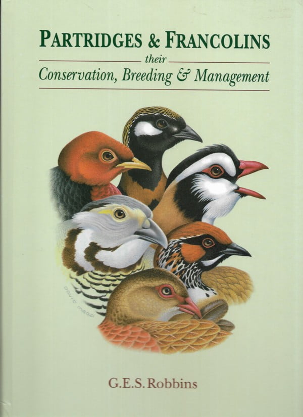 Partridges & Francolins