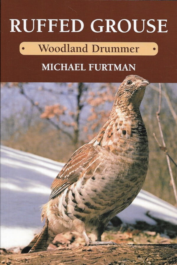Ruffed Grouse
