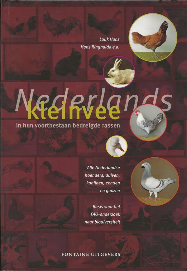 Nederlands kleinvee