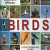 Southern African Birds
