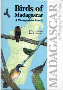 Birds of Madagascar