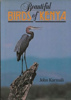 Beautiful Birds of Kenya