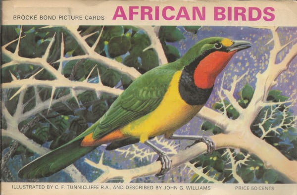African Birds